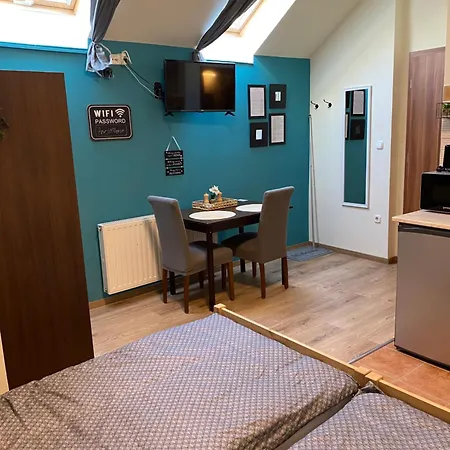 Takacs Vendeghaz Шопрон