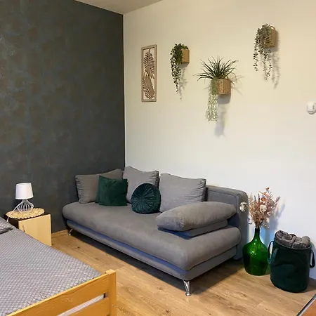 Takacs Vendeghaz Apartment