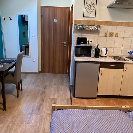 Takacs Vendeghaz Шопрон