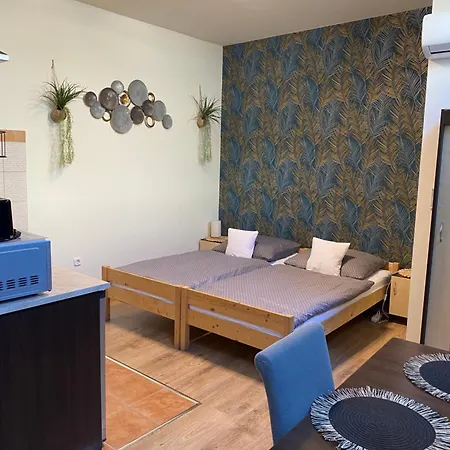 Takacs Vendeghaz Apartment