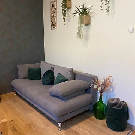 Apartment Takacs Vendeghaz *