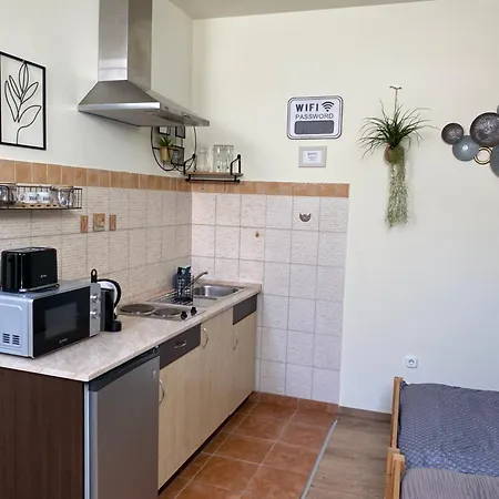 Apartmán Takacs Vendeghaz *
