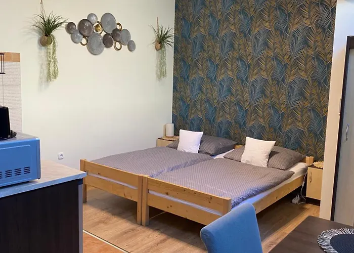 Takacs Vendeghaz Apartment
